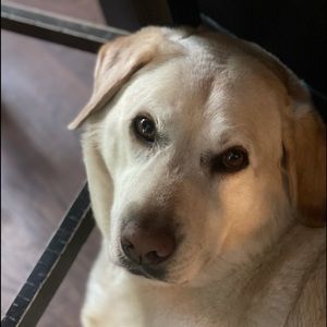 Meet your Posher, Chad